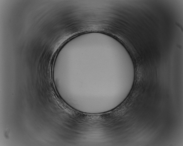 X0000103310886200809261334