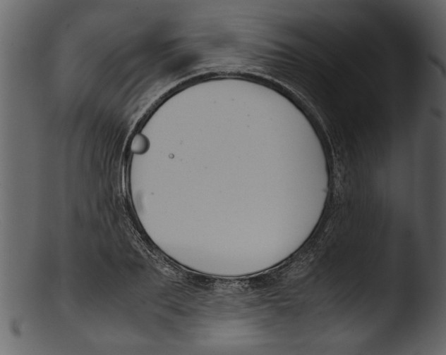 X0000103310887200809261334