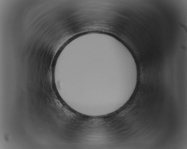 X0000103310888200809261334