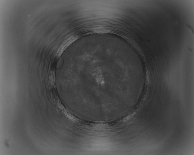 X0000103310889200809261334