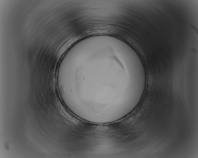 X0000103310890200809261334