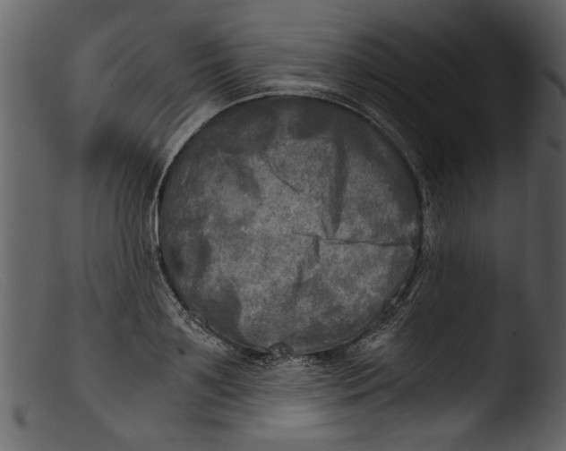 X0000103310891200809261334