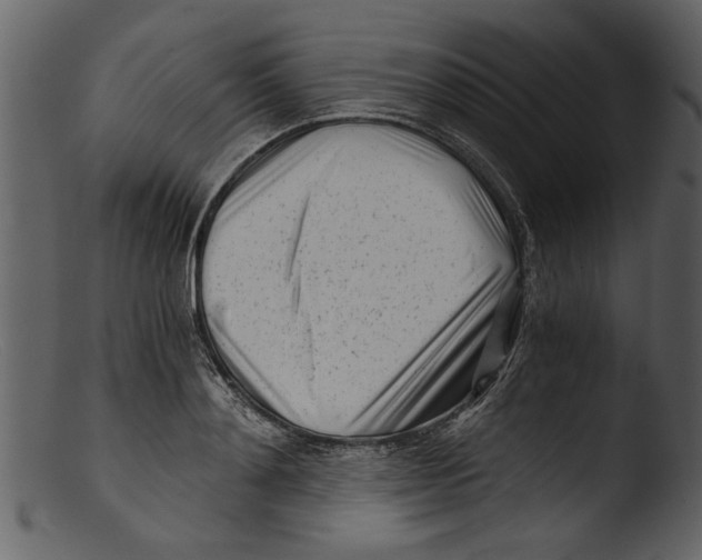 X0000103310892200809261334