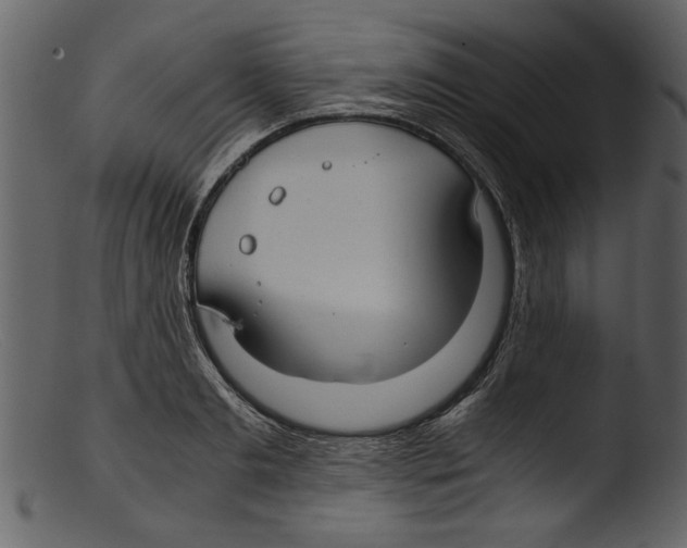 X0000103310893200809261334