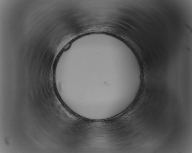 X0000103310894200809261334