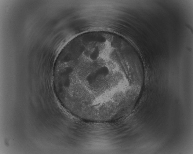 X0000103310895200809261334