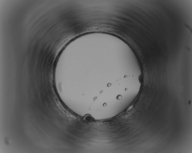 X0000103310896200809261334