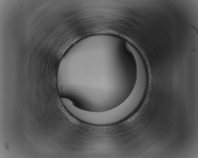 X0000103310897200809261334