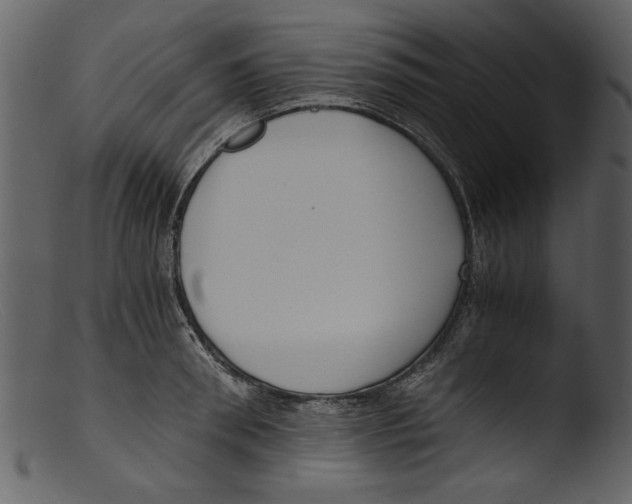 X0000103310898200809261334