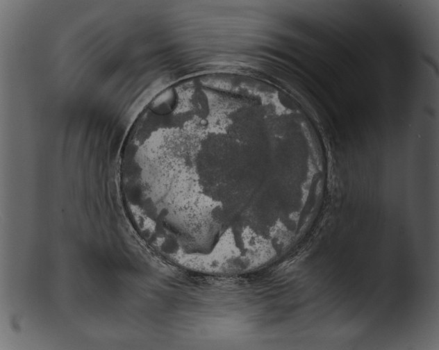 X0000103310899200809261334