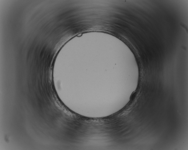 X0000103310900200809261334