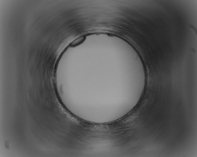 X0000103310901200809261334