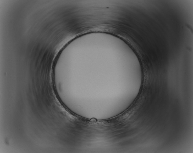 X0000103310902200809261334