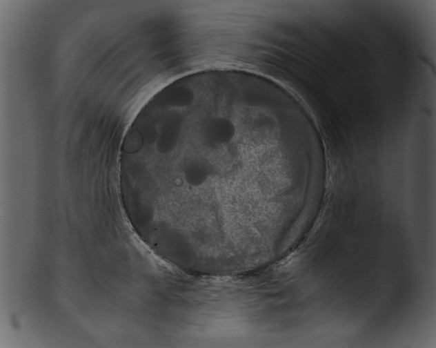 X0000103310903200809261334