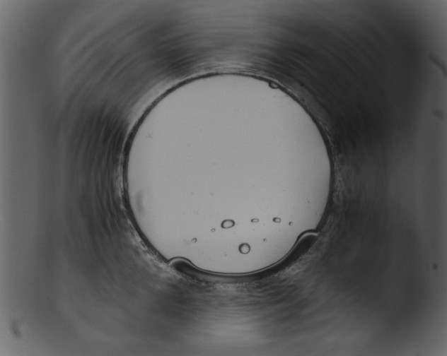 X0000103310904200809261334