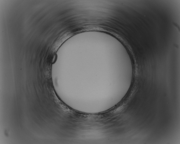 X0000103310905200809261334