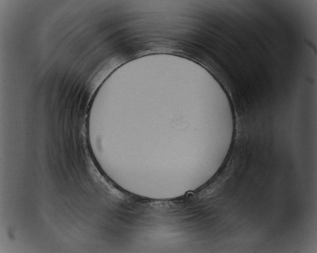 X0000103310906200809261334