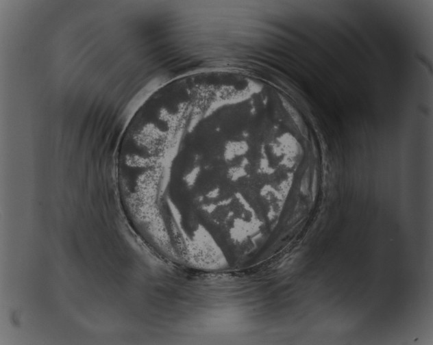 X0000103310907200809261334