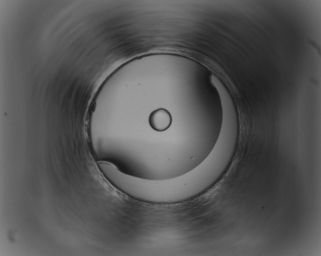 X0000103310908200809261334