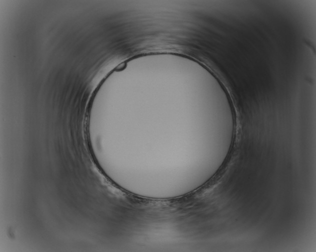 X0000103310909200809261334