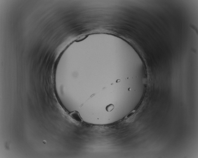 X0000103310910200809261334