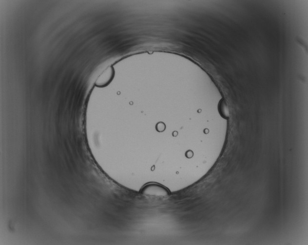 X0000103310912200809261334