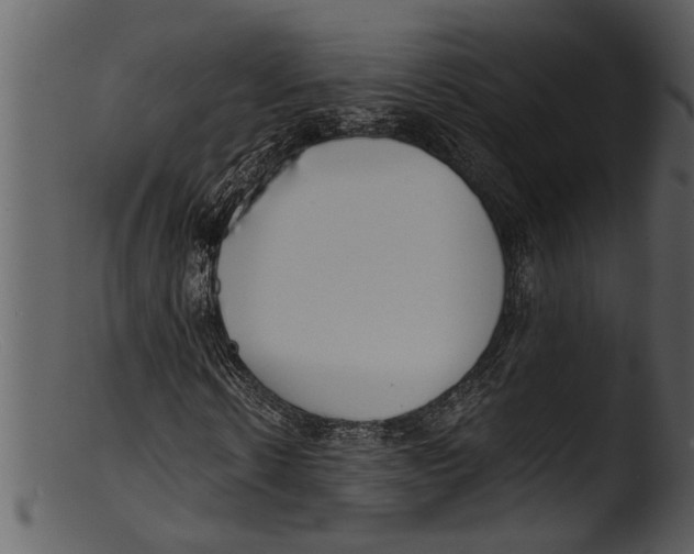 X0000103310914200809261333