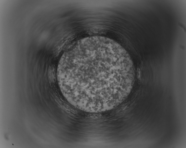 X0000103310915200809261333