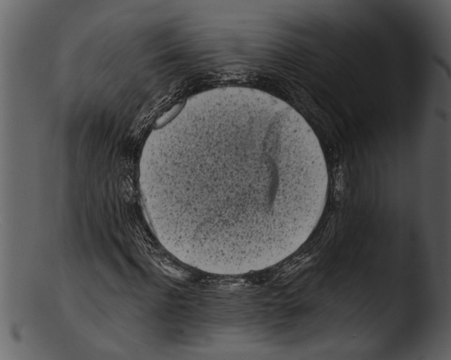 X0000103310916200809261333