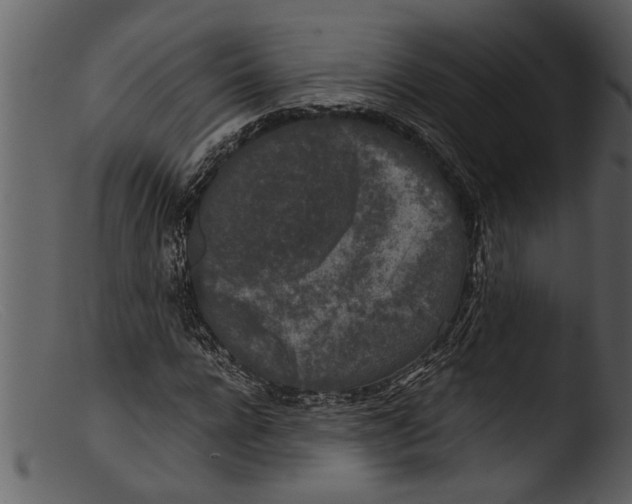 X0000103310920200809261333