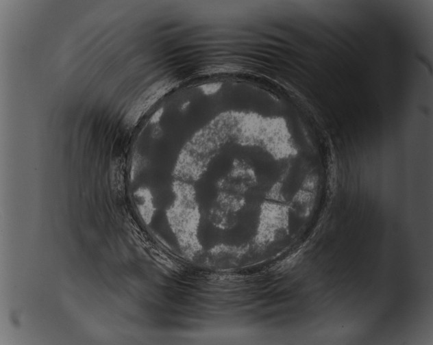 X0000103310921200809261333