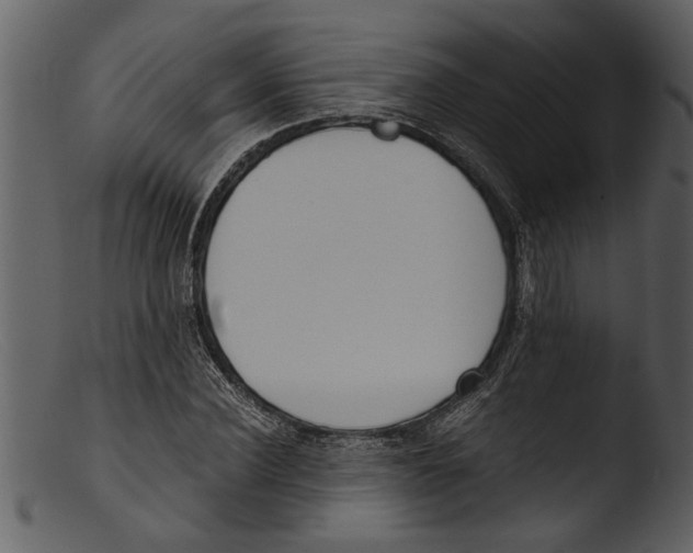 X0000103310924200809261333