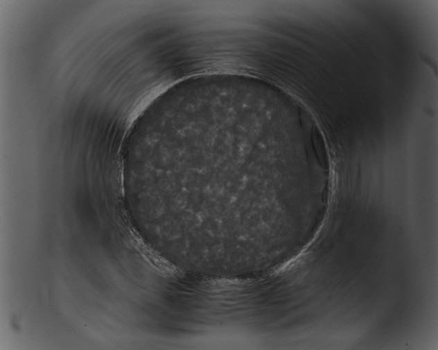 X0000103310925200809261333