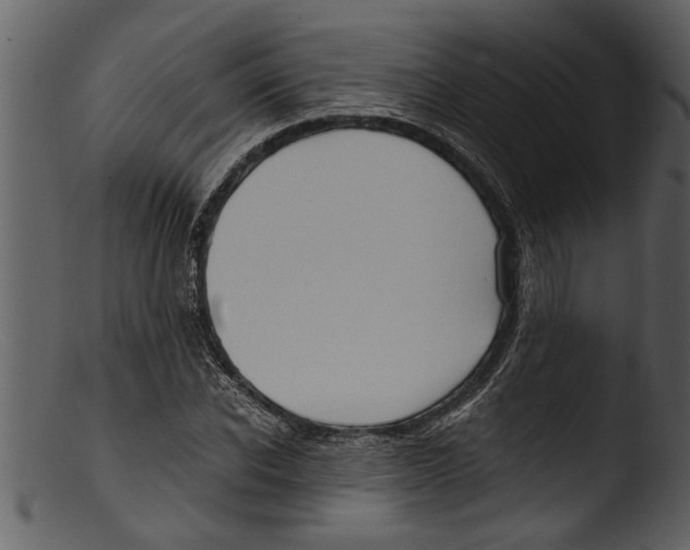 X0000103310926200809261333