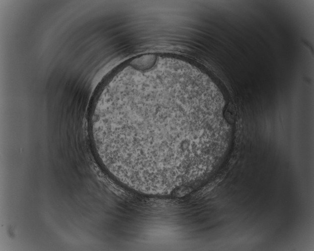 X0000103310928200809261333