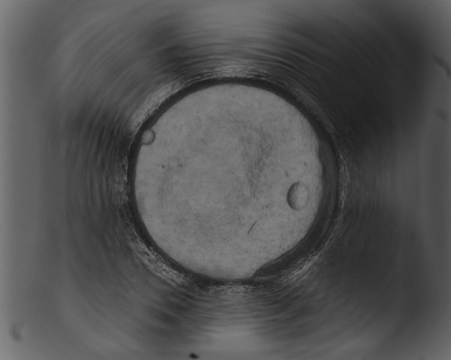 X0000103310930200809261333