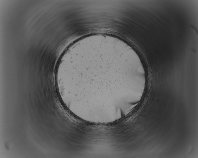 X0000103310932200809261333