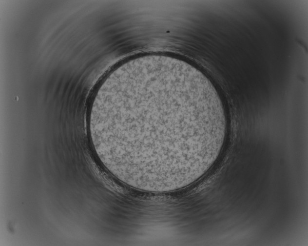 X0000103310934200809261333