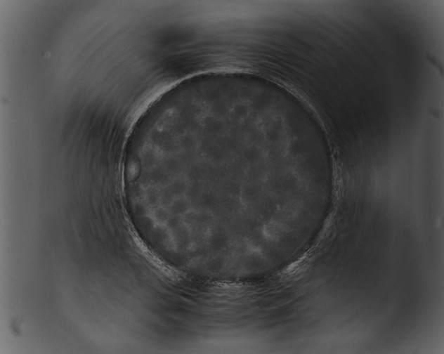 X0000103310935200809261333