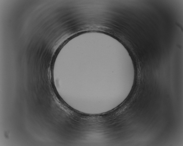 X0000103310936200809261333