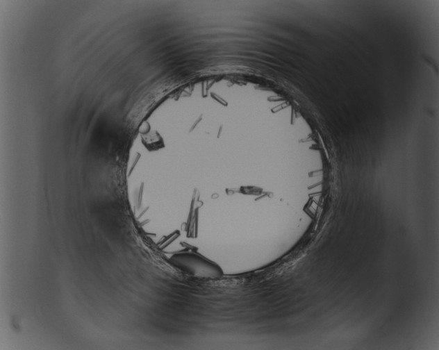 X0000103310937200809261333