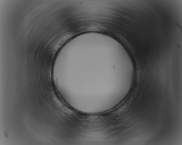 X0000103310938200809261333