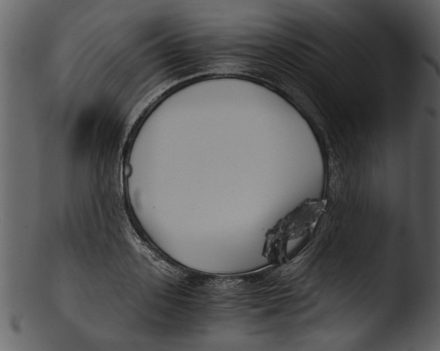 X0000103310939200809261333