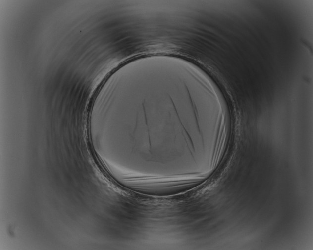 X0000103310941200809261333