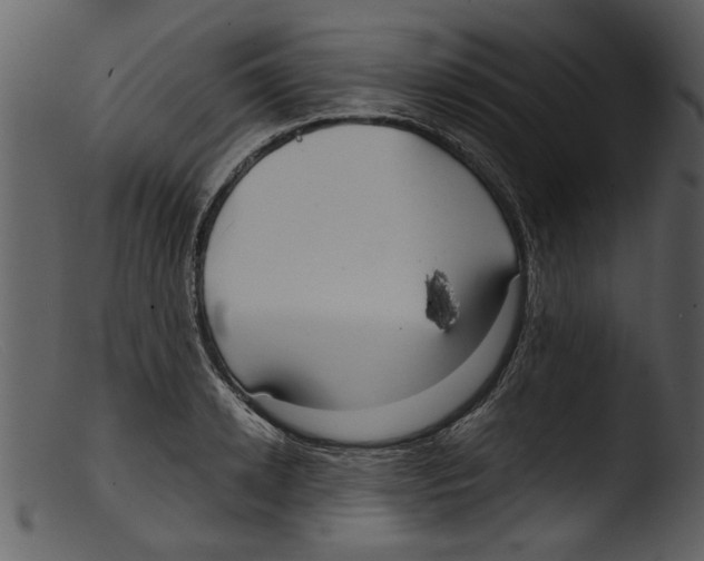 X0000103310942200809261333