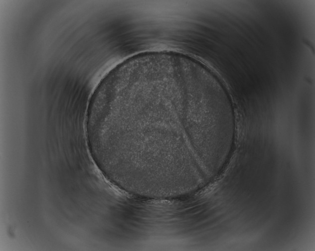 X0000103310943200809261333