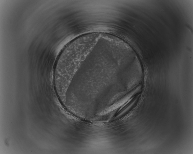 X0000103310944200809261333