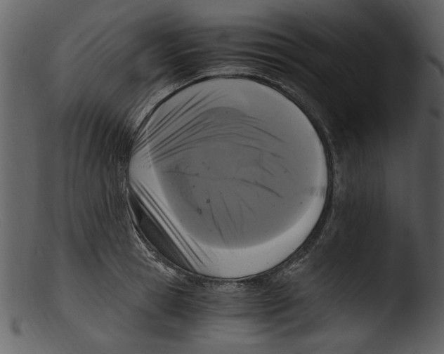 X0000103310945200809261333