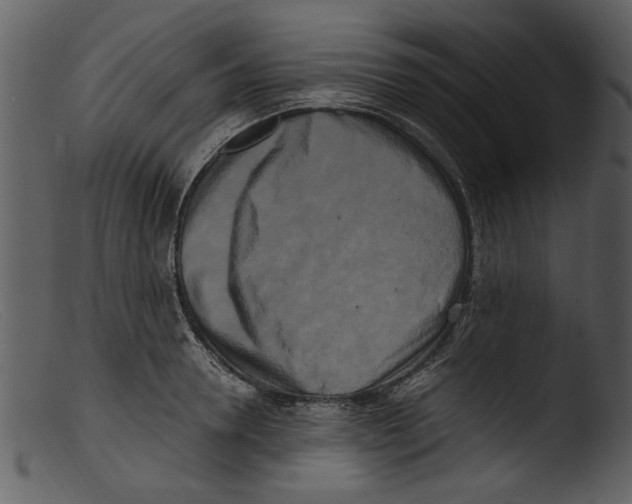 X0000103310946200809261333