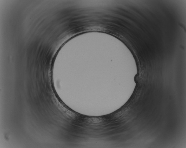 X0000103310947200809261333